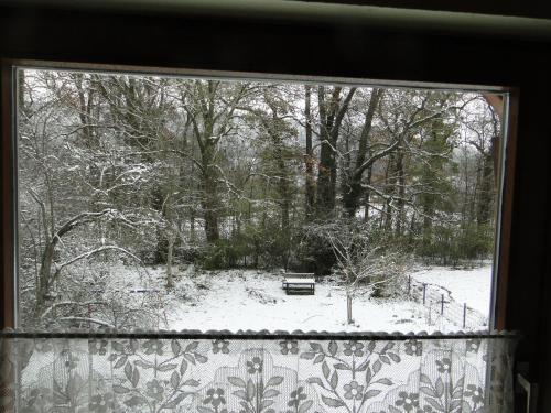 View, Ferienwohnung Am Schlosspark in Schlitz