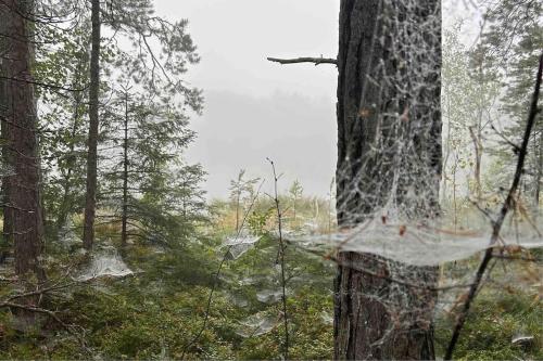 Bastukleven, stuga i Hamnsundets skärgårds idyll