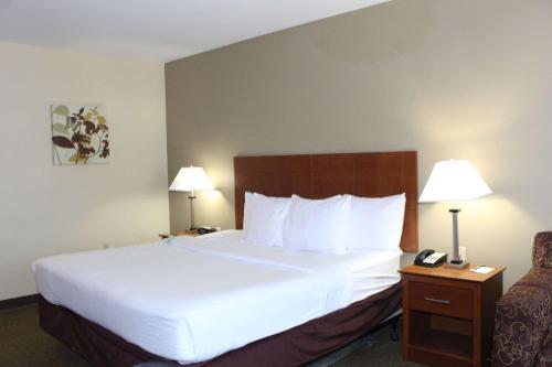 Quality Inn & Suites - Hotel - Williamsport
