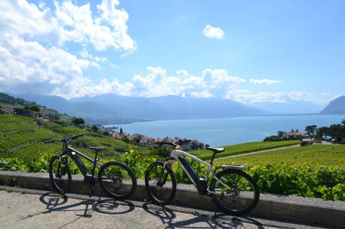 Baron Tavernier Hotel & SPA - image 3
