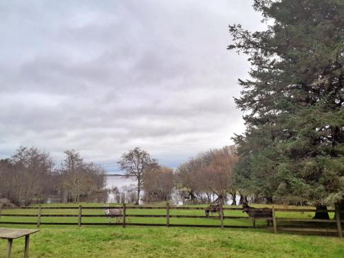 外部景觀, M042 Teach Trianlair in 帕特里