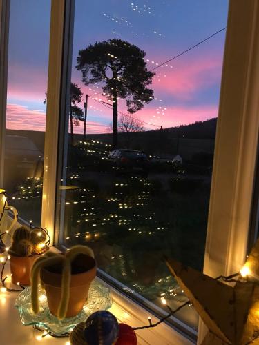 Netherdene Country House Bed & Breakfast - image 6