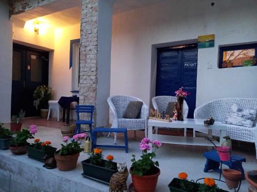 บริการและสิ่งอำนวยความสะดวก, Vidám ház, a Zöld Szívü faluban Sopron mellett (Vidam haz, a Zold Szivu faluban Sopron mellett) in ร็อจท็อกมัสซาจ