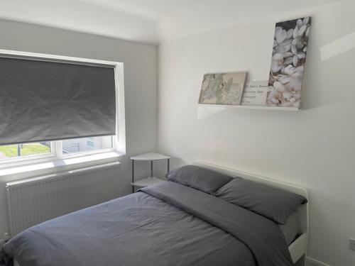 Impeccable Holiday House in London Sleeps four - image 4