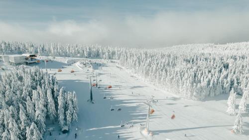 Hotel U Beránka Náchod - image 8