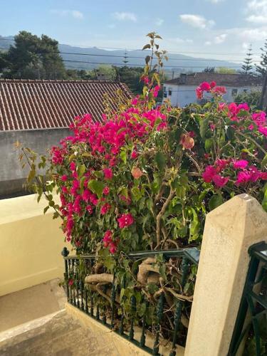 tuin, Casa do Mestre João (Casa do Mestre Joao) in Cabriz