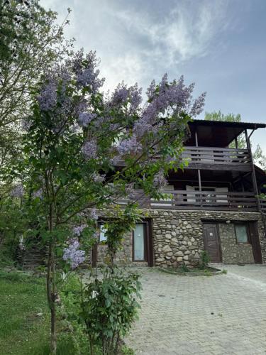 Sofia Lake House