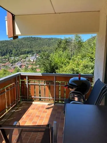Ferienwohnung Schöne Aussicht in Todtmoos, Deutschland