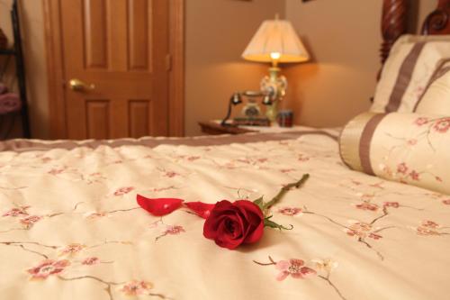 Bed, Scottish Bed & Breakfast in Plymouth (IN)