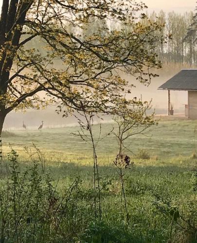 PLŪSME Restart House