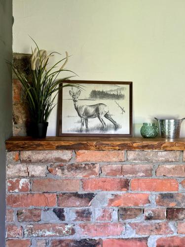 PLŪSME Restart House