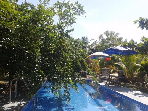 DEEP SEA RESORT PADI DIVE CENTER