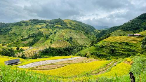 Mu Cang Chai Big view homestay