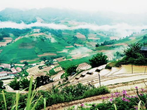 Mu Cang Chai Big view homestay