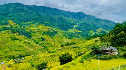 Mu Cang Chai Big view homestay