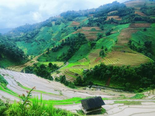 Mu Cang Chai Big view homestay