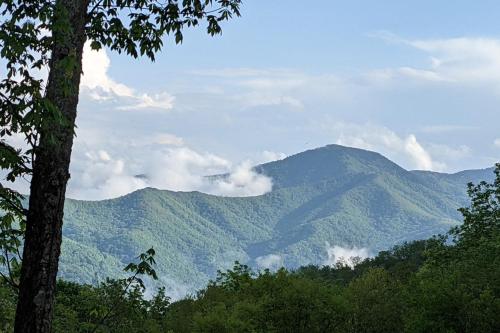 Luxe Blue Ridge Mountain Retreat with Sauna and Creek! - image 6