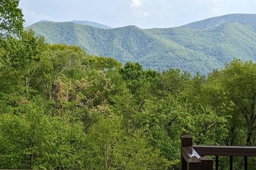 Luxe Blue Ridge Mountain Retreat with Sauna and Creek! - image 11