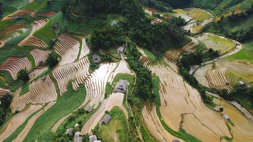 Mu Cang Chai Big view homestay