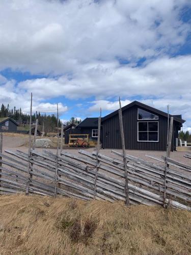 Cozy family cabin close to cycle tracks in the summer and ski -in and out in winter - Trysil