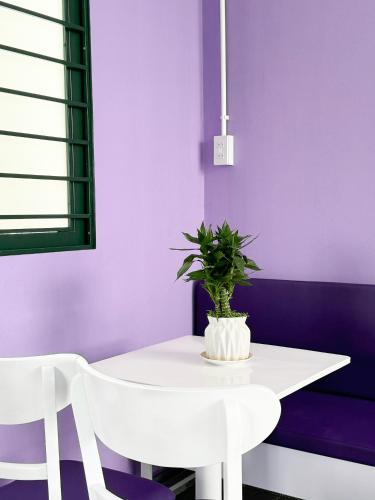 Plumeria Homestay – Hue