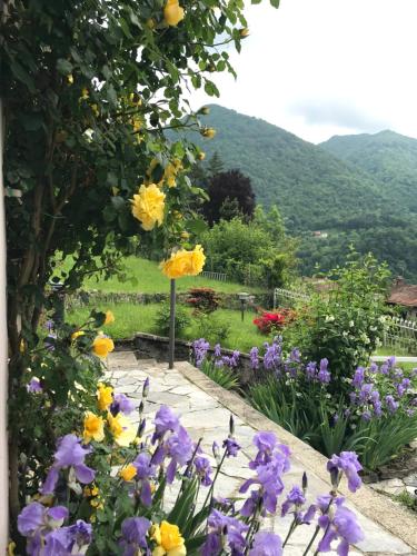 Villa Oleandra nearby Argegno with privet Garden & Pool