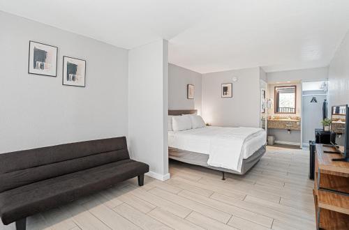 Hotolos Room Type - Junior King Suite