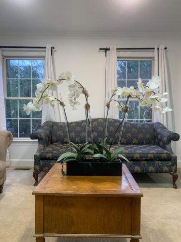 5BR Retreat Nature and Access Laurel MD 5BR Retreat Nature and Access Laurel MD