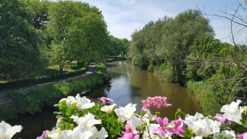 A környék, B&B Krieken de Jour in Ninove