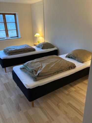 Skovhuset haveværelset in رينجستيد