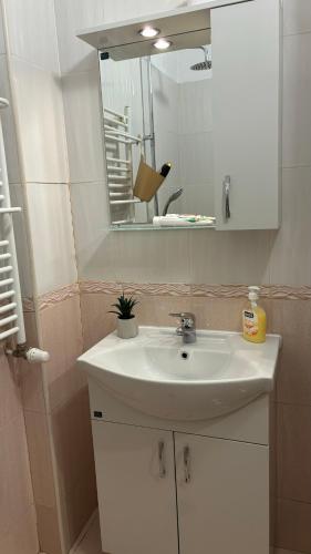 Quiet 2 bedrooms downtown apart, Sofia (Foto 9)