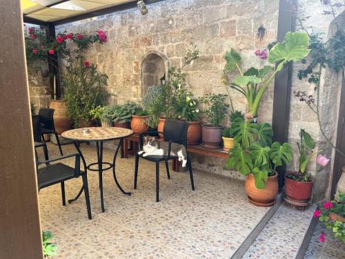 Eleni Rooms - image 14