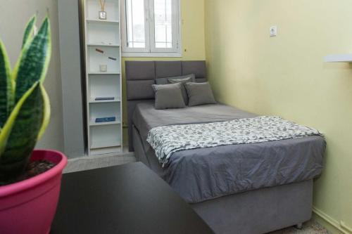 Modern 2 Bd Kipseli Hideaway Patio Apt - image 2