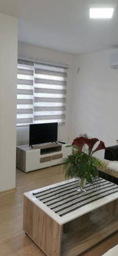 Apartman Mani, Višegrad