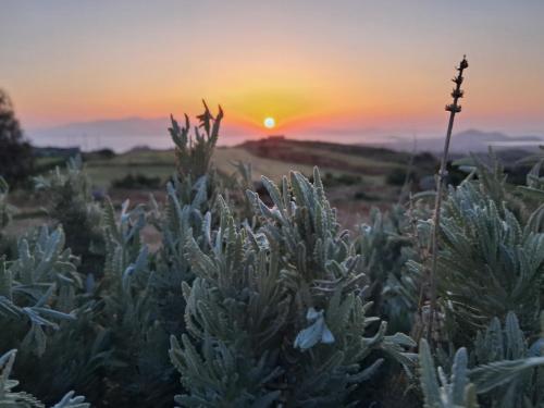 Ariadne's Crown Luxury Suites with Private Pool