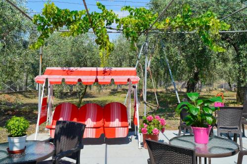 Sofia's Olive Grove in 스칼라 칼리라치스
