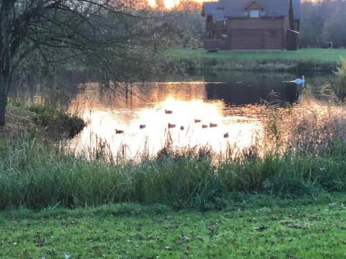 Private Estate Lake Lodge-Cabin Near River Thames