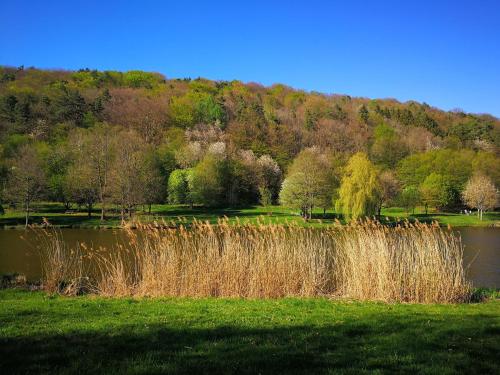 Schnegge-Eck - a53627 - image 4