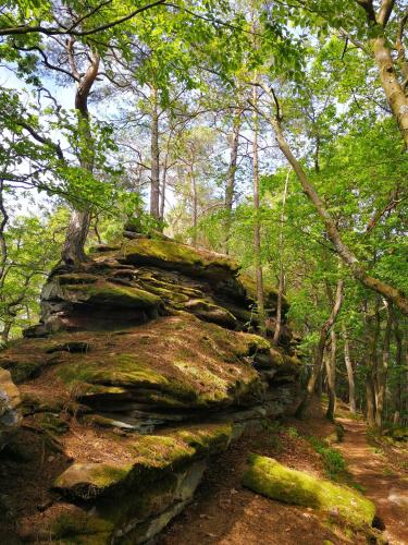 Schnegge-Eck - a53627 - image 8