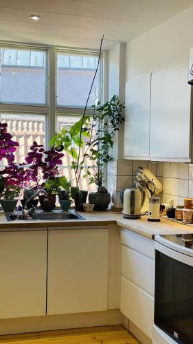 ApartmentInCopenhagen Apartment 1610 - image 6