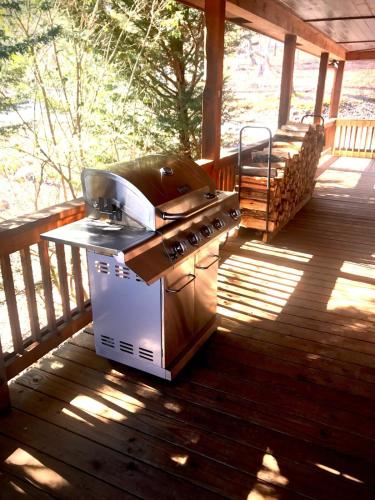 Pet Friendly Cabin with Hot Tub in North GA Mnts