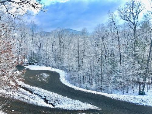 Pet Friendly Cabin with Hot Tub in North GA Mnts