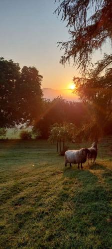 Chata na samotě, Šumava