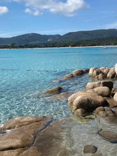 Rez de villa pour 2 personnes près de Santa Giulia gîte à louer Usciolo