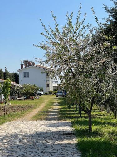 Garden Villa Sunny