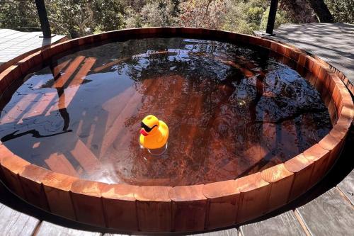 Paradise Ranch Inn- Infinite House Hot Tub,Sauna
