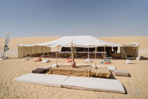 Tzila Camp in Faiyum