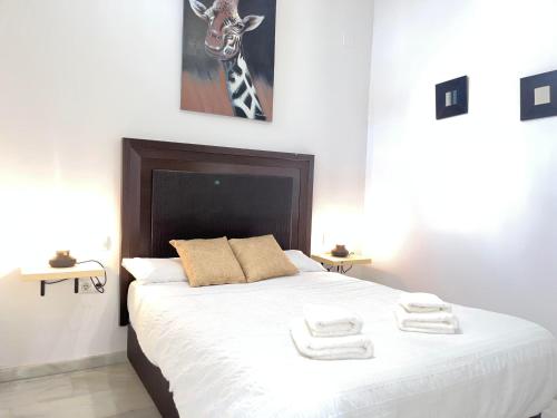 RgHOST-Apartamento La Palma en Casco Histórico, Córdoba (fotografie 8)