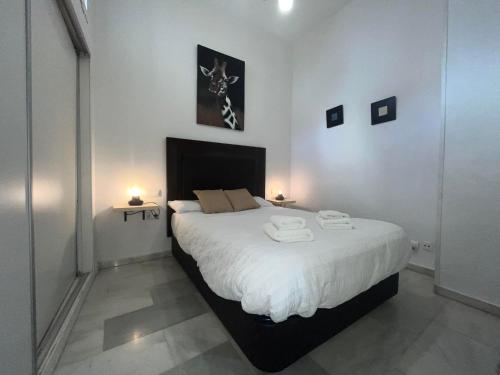 RgHOST-Apartamento La Palma en Casco Histórico, Córdoba (fotografie 4)