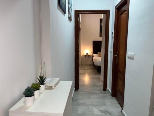 RgHOST-Apartamento La Palma en Casco Histórico, Córdoba (fotografie 7)